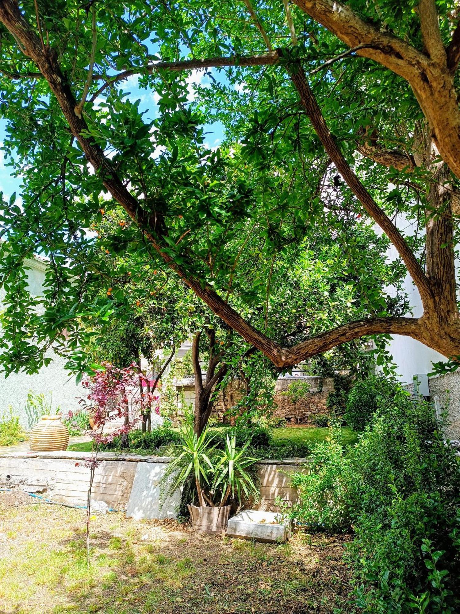 Betty'S Garden House Villa Néa Ankhíalos Rum bild